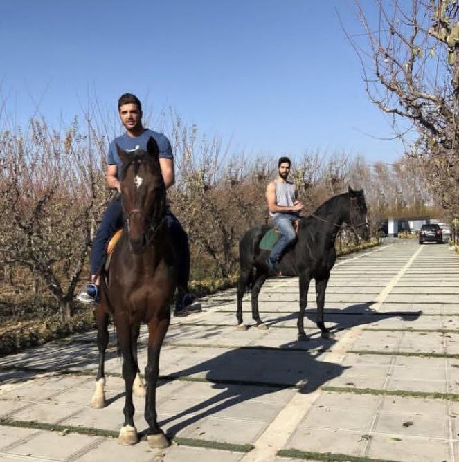 والپیپر سید محمد موسوی ۲۰۲۵ 