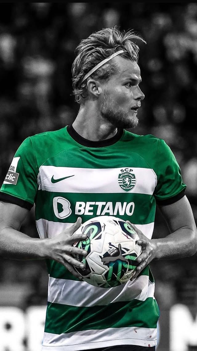  wallpaper 4k Morten Hjulmand