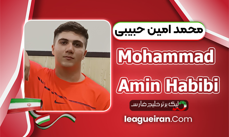 بیوگرافی محمدامین حبیبی
