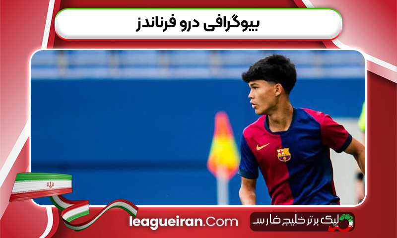 بیوگرافی درو فرناندز