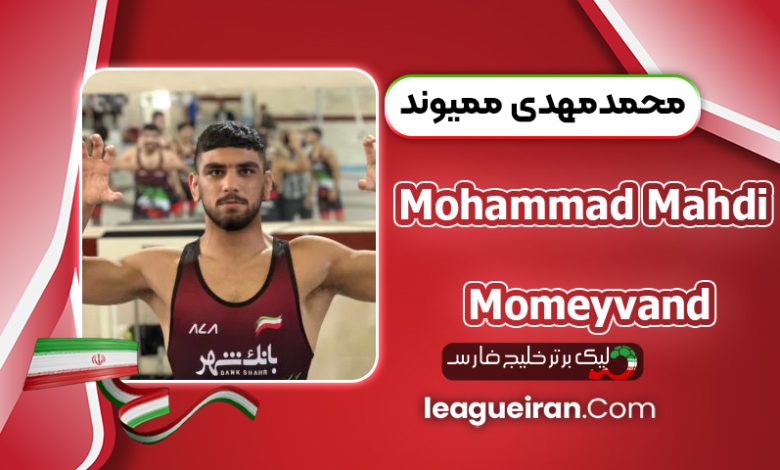 بیوگرافی محمدمهدی ممیوند